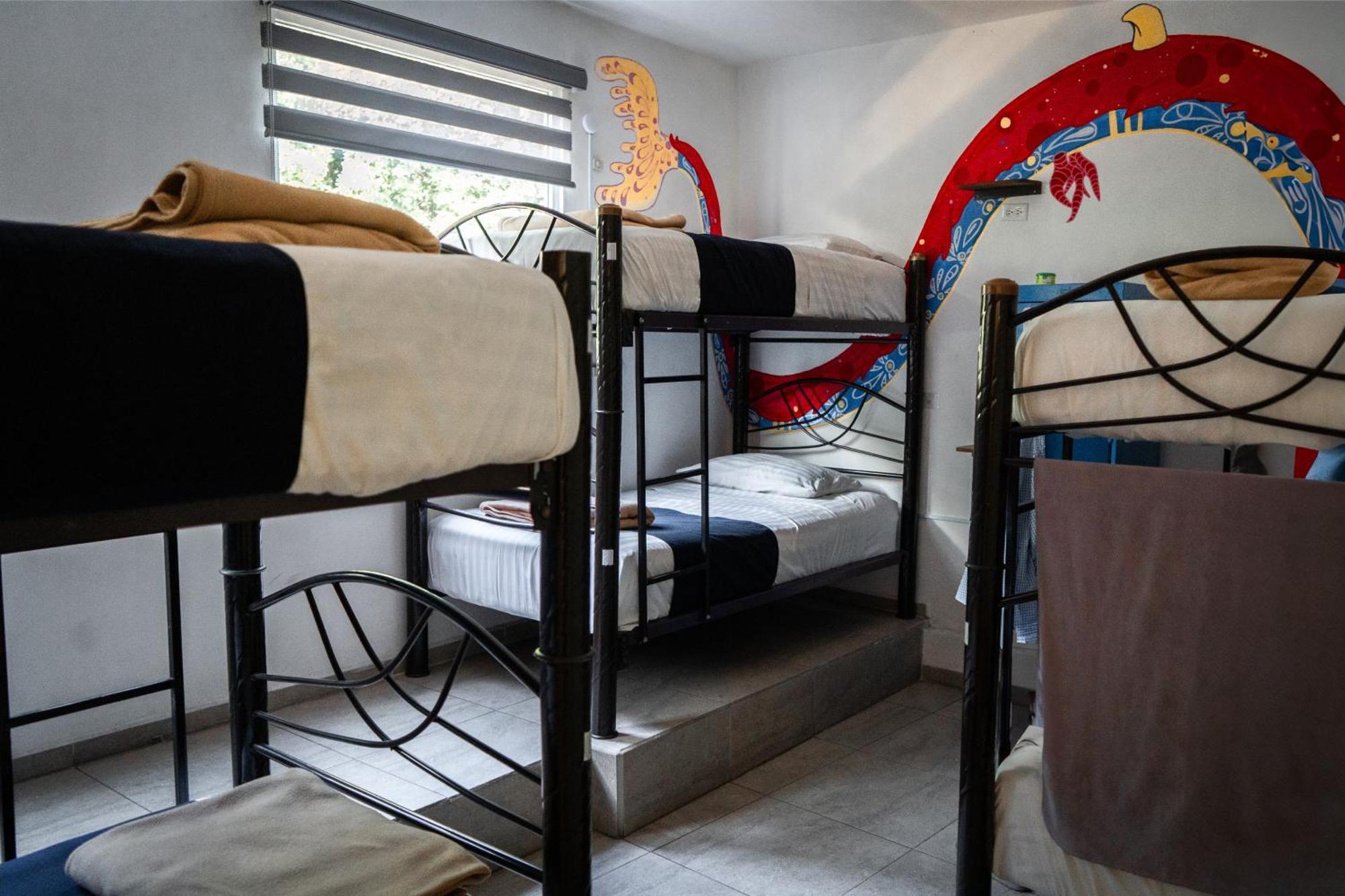 Bed 6-Bed Mixed Dormitory Room